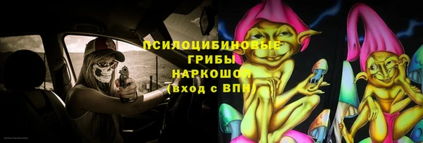 твердый Ельня