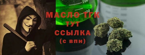 твердый Ельня