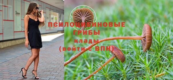 бошки Чегем