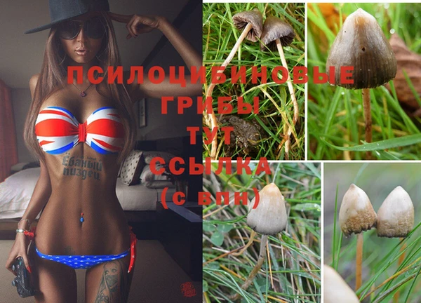 прущая мука Чекалин