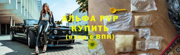 твердый Ельня