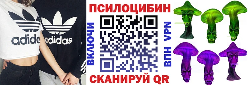 Псилоцибиновые грибы Psilocybe  купить наркотик  Реж 