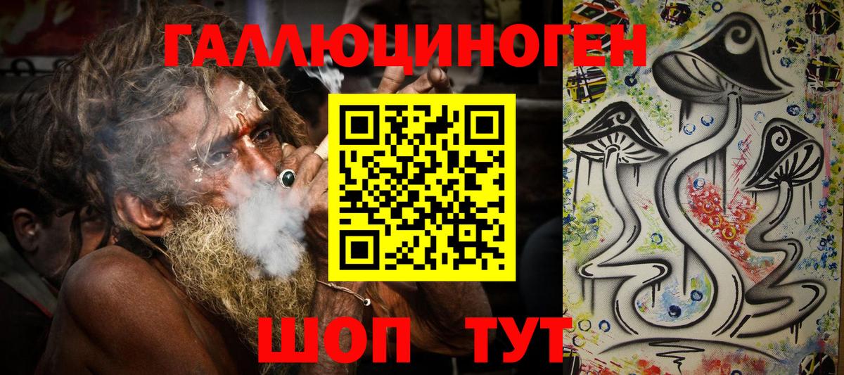 Реж  Псилоцибиновые грибы Psilocybine cubensis  Вход с VPN 